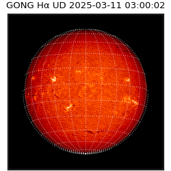 gong - 2025-03-11T03:00:02