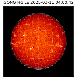 gong - 2025-03-11T04:00:42