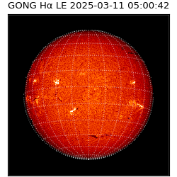 gong - 2025-03-11T05:00:42