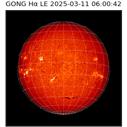 gong - 2025-03-11T06:00:42