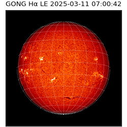 gong - 2025-03-11T07:00:42