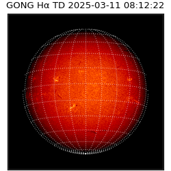gong - 2025-03-11T08:12:22