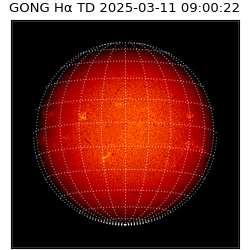 gong - 2025-03-11T09:00:22