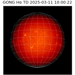 gong - 2025-03-11T10:00:22