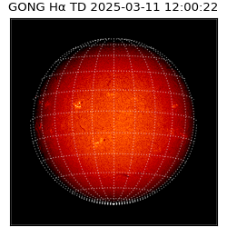 gong - 2025-03-11T12:00:22