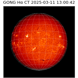 gong - 2025-03-11T13:00:42