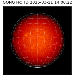 gong - 2025-03-11T14:00:22