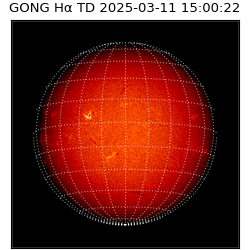 gong - 2025-03-11T15:00:22