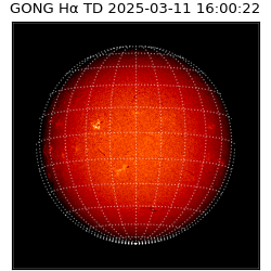 gong - 2025-03-11T16:00:22
