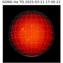 gong - 2025-03-11T17:00:22