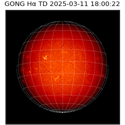 gong - 2025-03-11T18:00:22