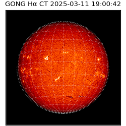 gong - 2025-03-11T19:00:42