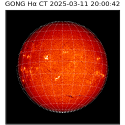 gong - 2025-03-11T20:00:42