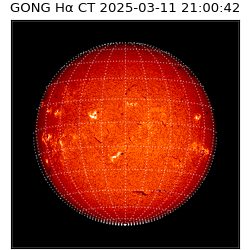 gong - 2025-03-11T21:00:42