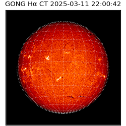 gong - 2025-03-11T22:00:42