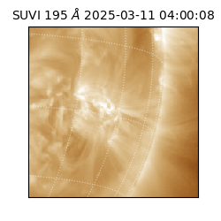 suvi - 2025-03-11T04:00:08.629000