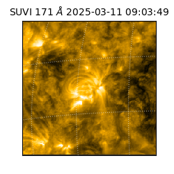 suvi - 2025-03-11T09:03:49.390000