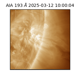 saia - 2025-03-12T10:00:04.846000