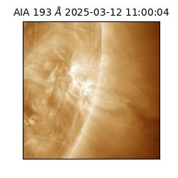 saia - 2025-03-12T11:00:04.846000