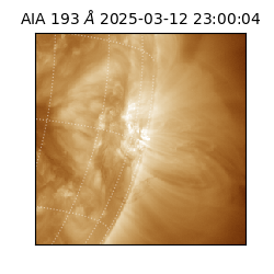 saia - 2025-03-12T23:00:04.844000