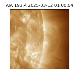 saia - 2025-03-12T01:00:04.843000