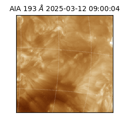 saia - 2025-03-12T09:00:04.835000