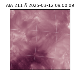 saia - 2025-03-12T09:00:09.618000