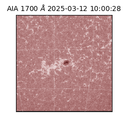 saia - 2025-03-12T10:00:28.717000