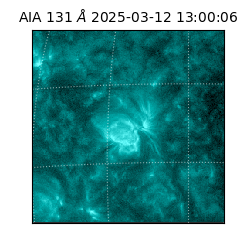 saia - 2025-03-12T13:00:06.622000