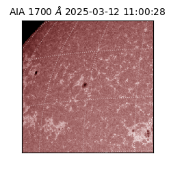 saia - 2025-03-12T11:00:28.721000