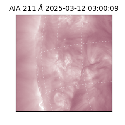 saia - 2025-03-12T03:00:09.632000