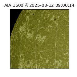 saia - 2025-03-12T09:00:14.126000