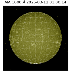 saia - 2025-03-12T01:00:14.126000