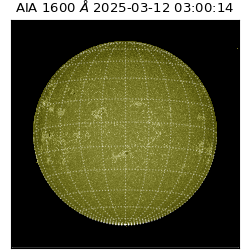 saia - 2025-03-12T03:00:14.129000