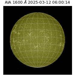 saia - 2025-03-12T06:00:14.126000