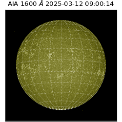 saia - 2025-03-12T09:00:14.126000