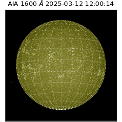 saia - 2025-03-12T12:00:14.126000