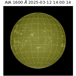 saia - 2025-03-12T14:00:14.130000