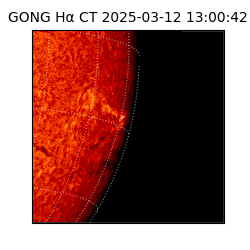gong - 2025-03-12T13:00:42