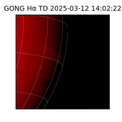 gong - 2025-03-12T14:02:22