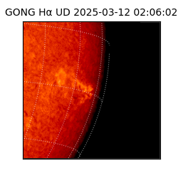 gong - 2025-03-12T02:06:02