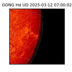 gong - 2025-03-12T07:00:02