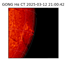 gong - 2025-03-12T21:00:42