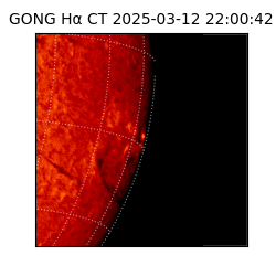 gong - 2025-03-12T22:00:42