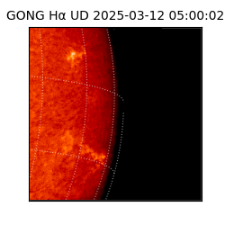 gong - 2025-03-12T05:00:02