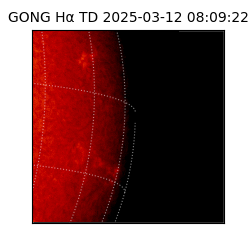 gong - 2025-03-12T08:09:22