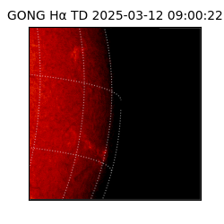 gong - 2025-03-12T09:00:22