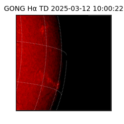 gong - 2025-03-12T10:00:22