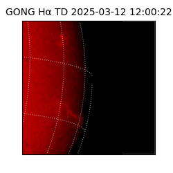 gong - 2025-03-12T12:00:22