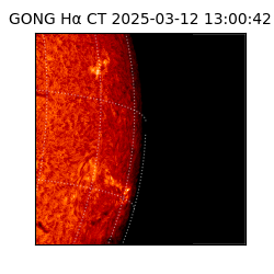 gong - 2025-03-12T13:00:42